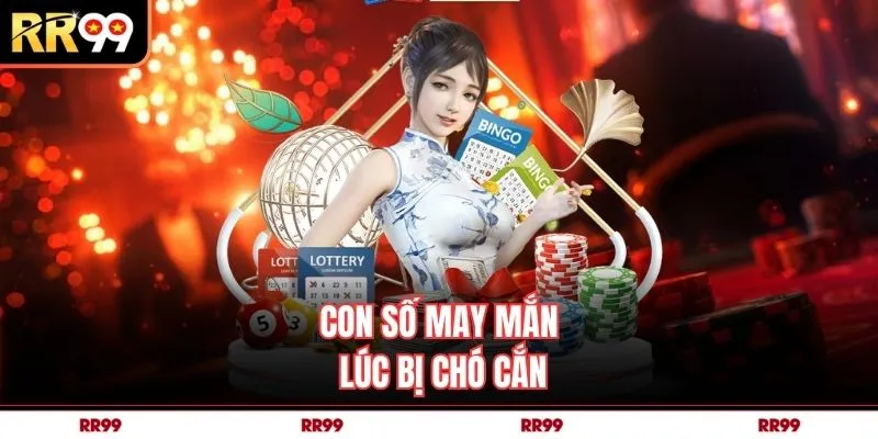 Con số may mắn lúc bị chó cắn